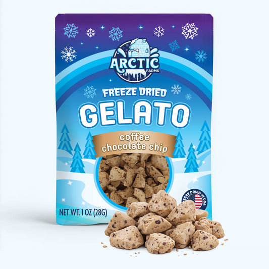 Gelato_Coffee_Chip_s_shopify.jpg