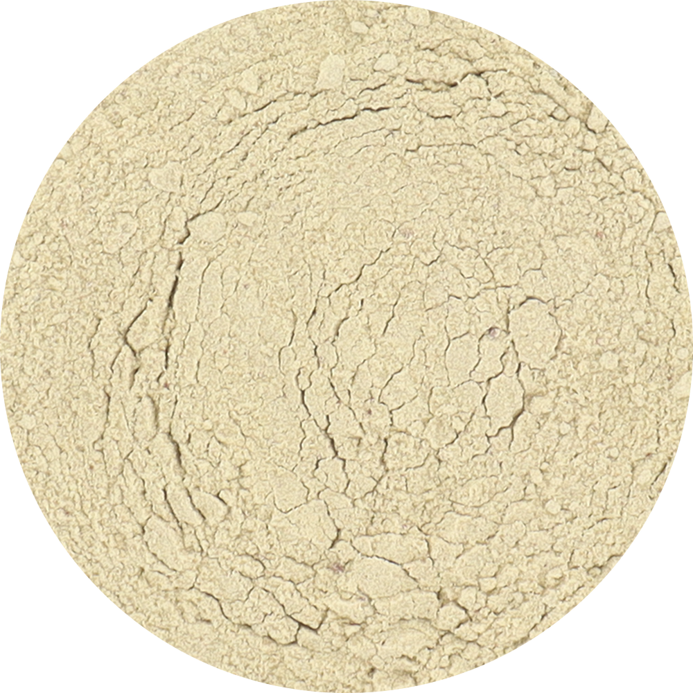Freeze Dried Ginger Powder