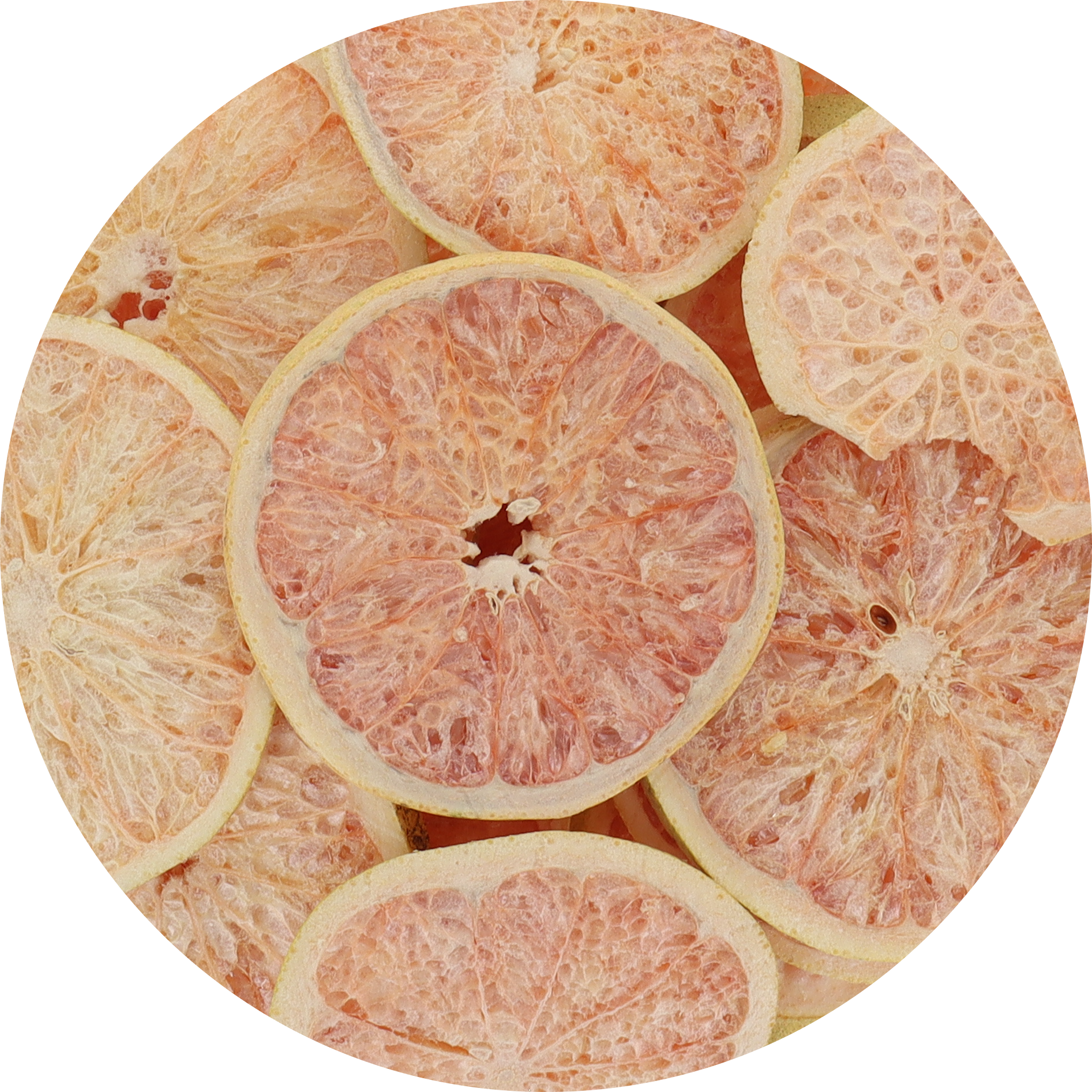 Freeze Dried Grapefruit Slices