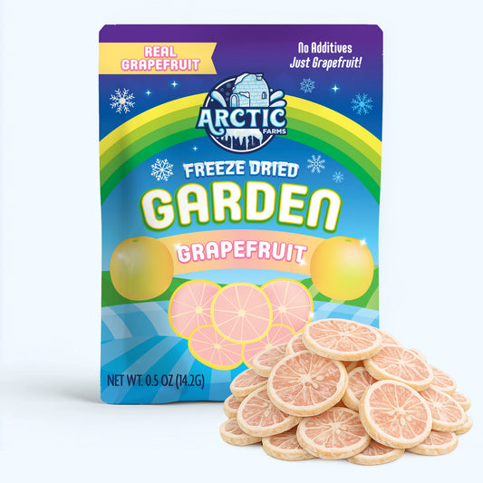 Freeze Dried Grapefruit Slices — image 1 of 10