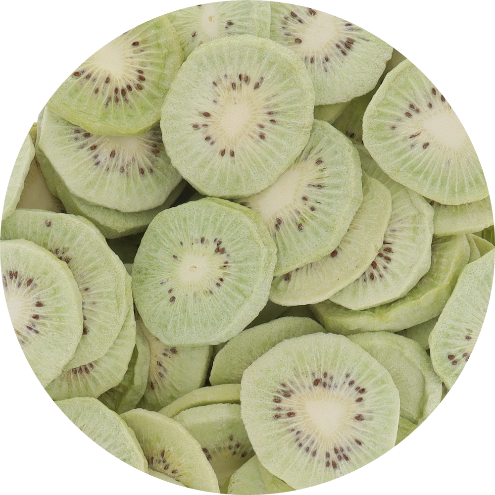 Freeze Dried Green Kiwi Top View