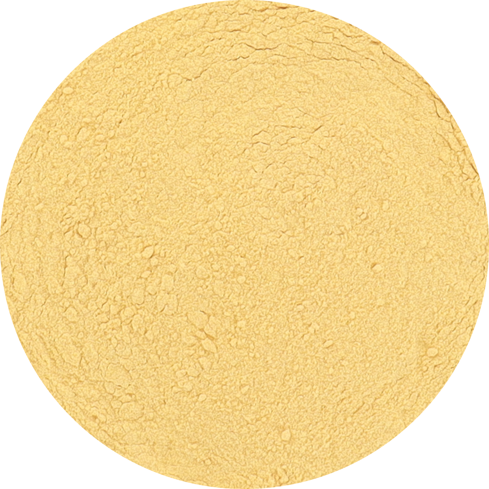 Freeze Dried Jackfruit Powder