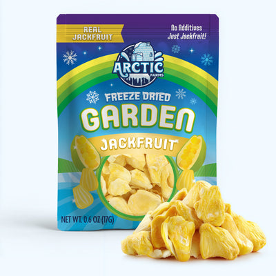 Freeze Dried Organic Ripe Jackfruit — image 1 of 8
