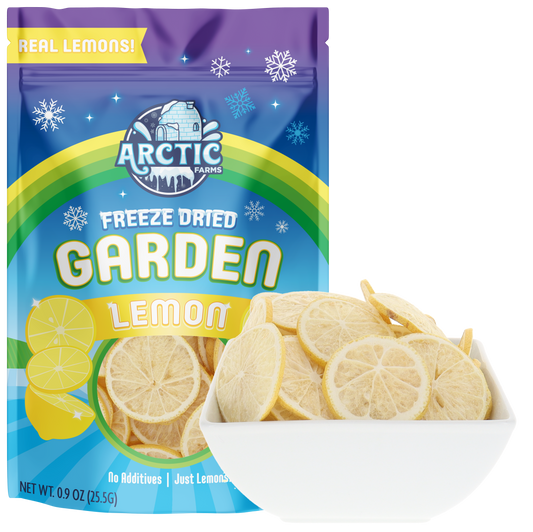 Freeze Dried Lemon Slices Bag with Bowl