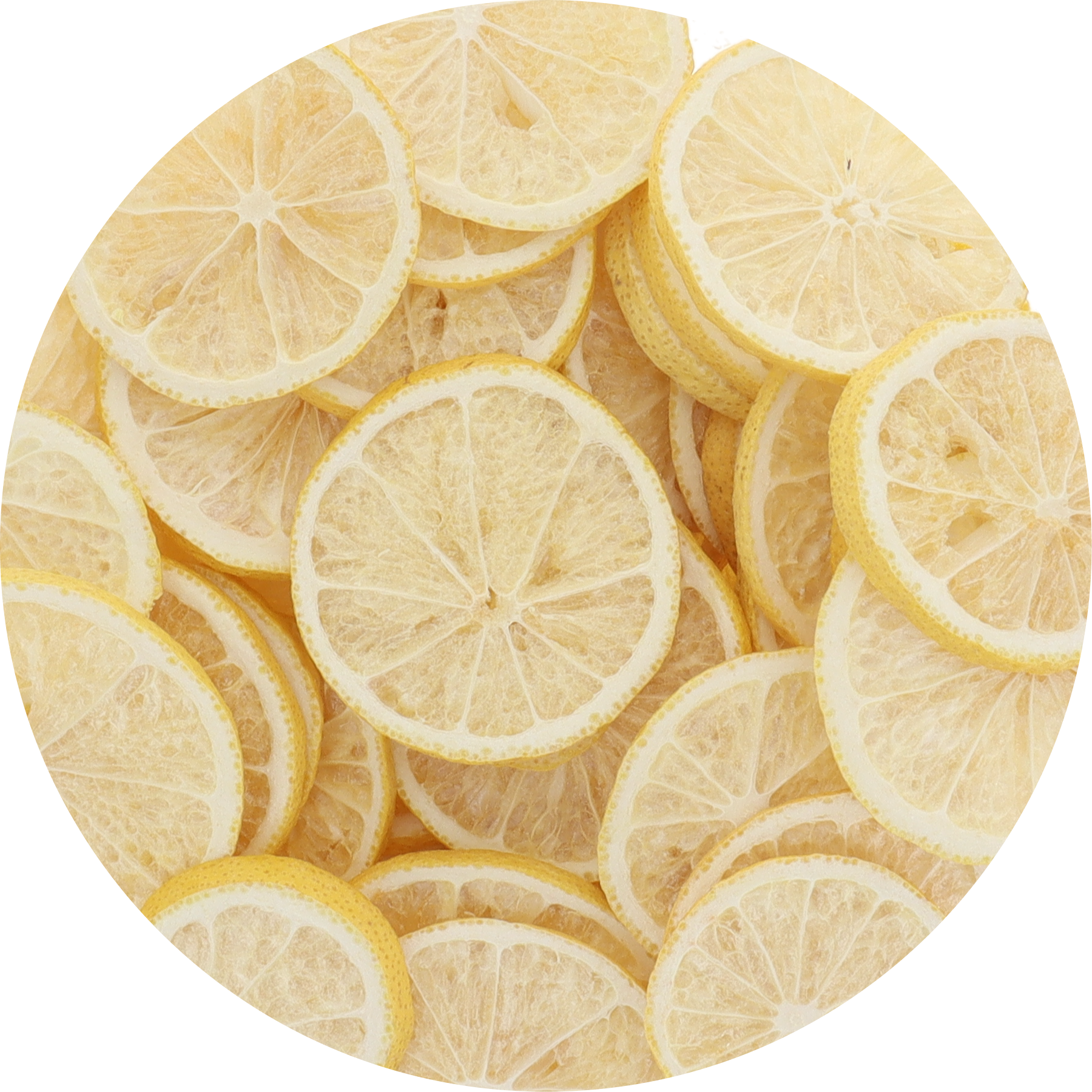 Arctic Farms - Freeze Dried Lemon Slices Arctic Farms - Freeze Dried Lemon Slices
