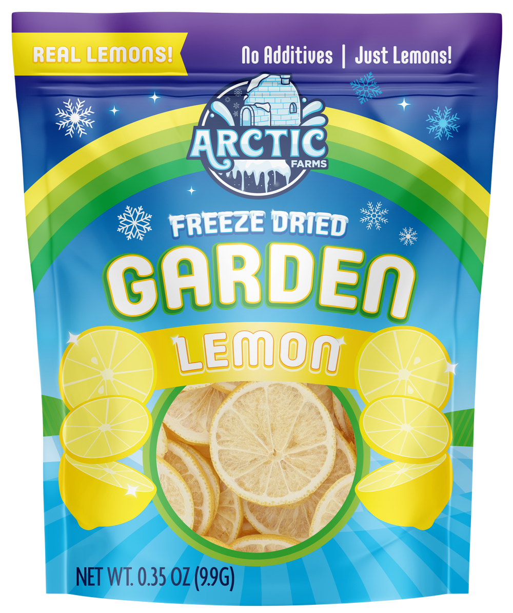 Freeze Dried Lemon Slices