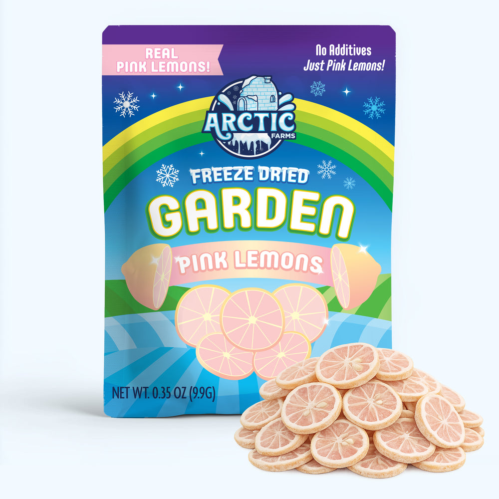 Freeze Dried Pink Lemon Slices — image 1 of 7