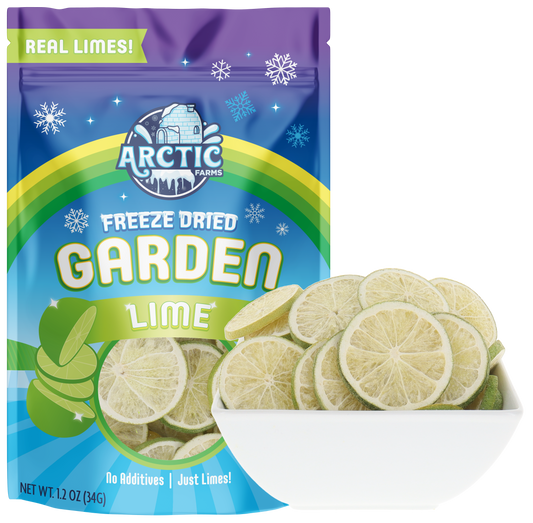 Freeze Dried Lime Slices Large Bag with Bowl