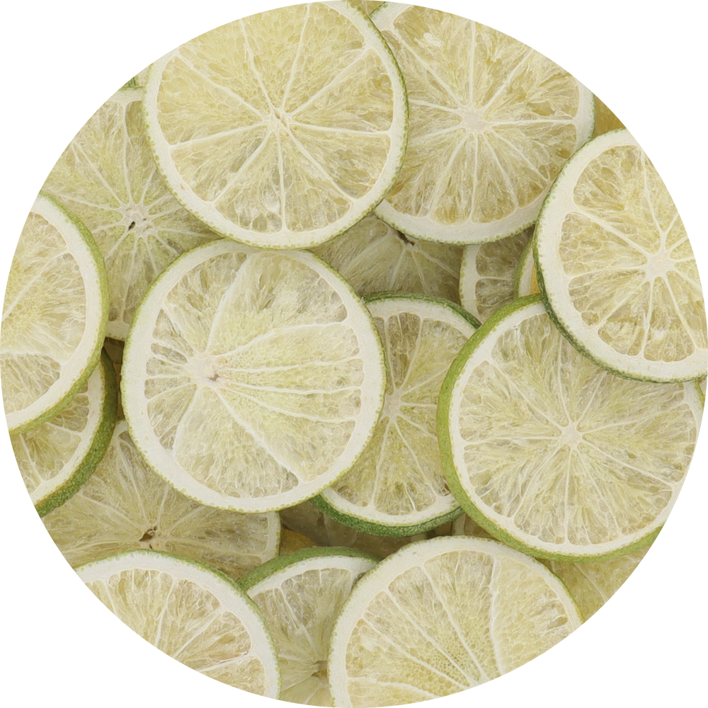 Freeze Dried Lime Slices Top View