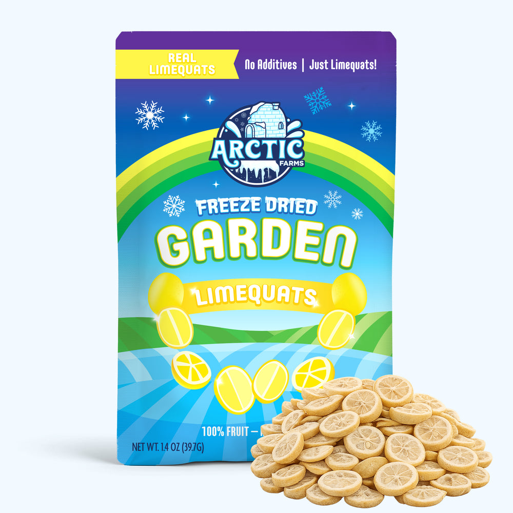 Freeze Dried Limequats — image 3 of 7