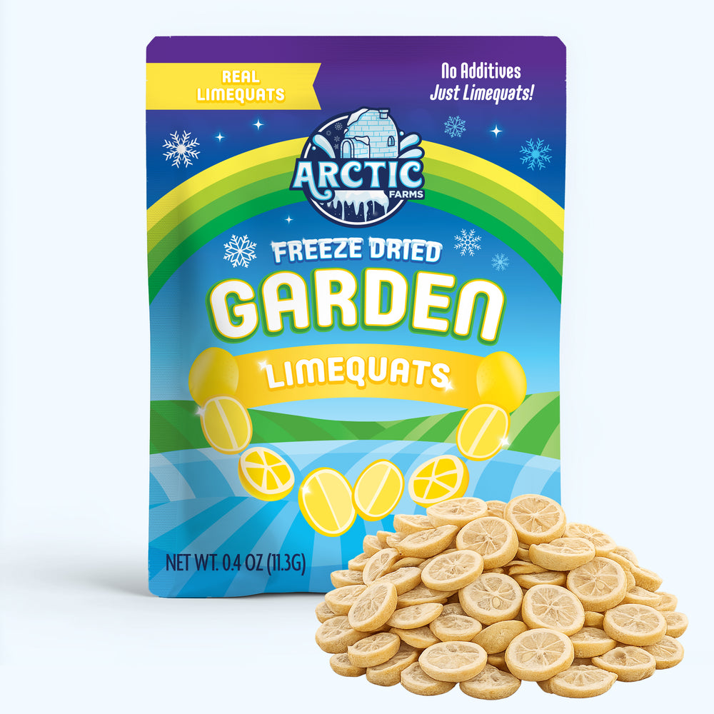 Freeze Dried Limequats — image 1 of 7