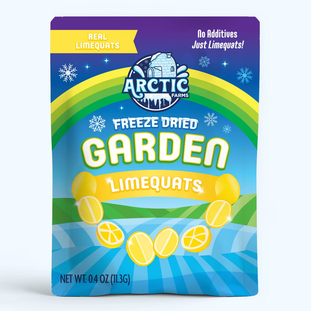 Freeze Dried Limequats — image 2 of 7