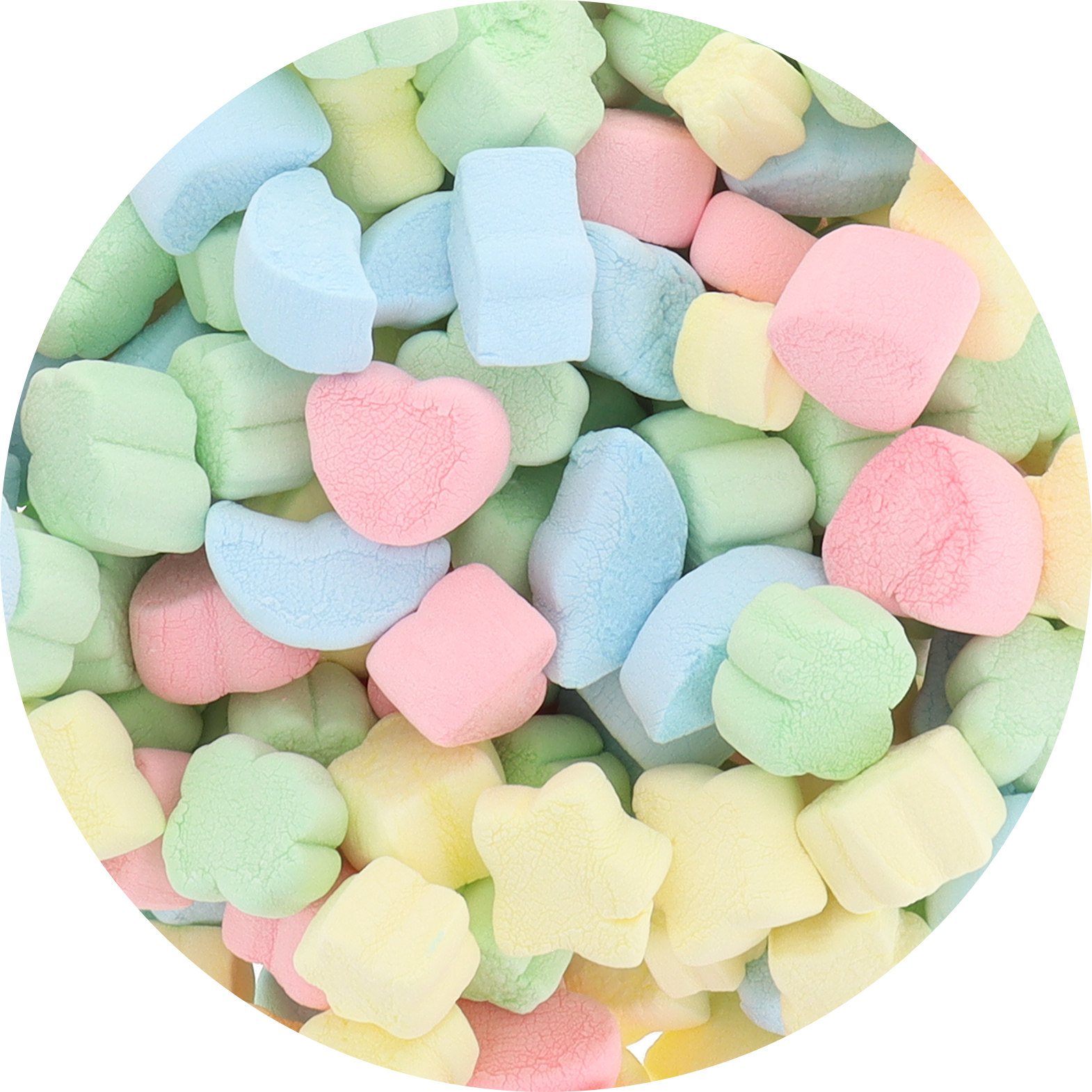 Freeze Dried Marshmallow Charms