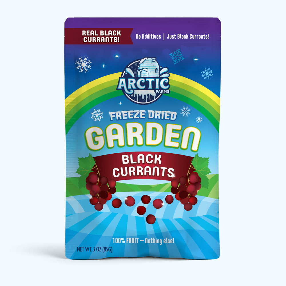 Freeze Dried Organic Black Currant — image 4 of 10
