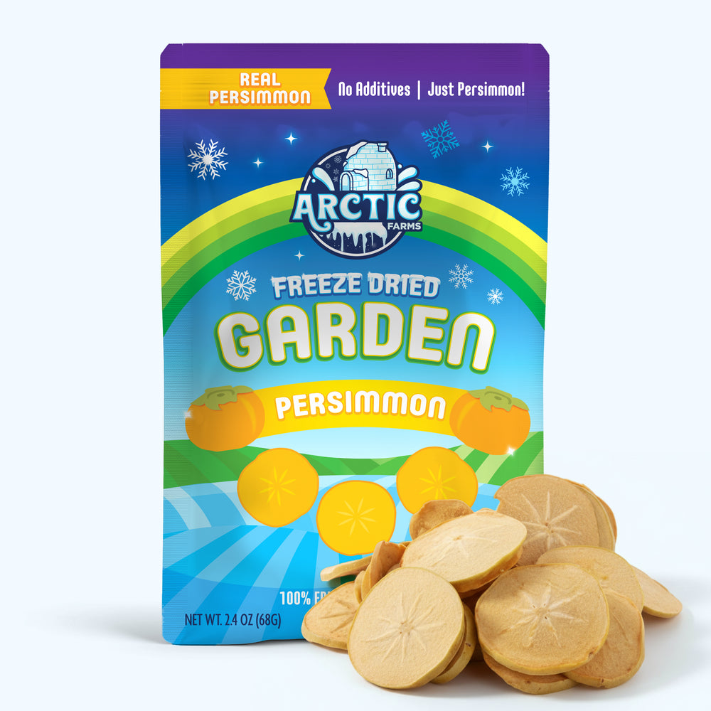 Freeze Dried Persimmon Slices