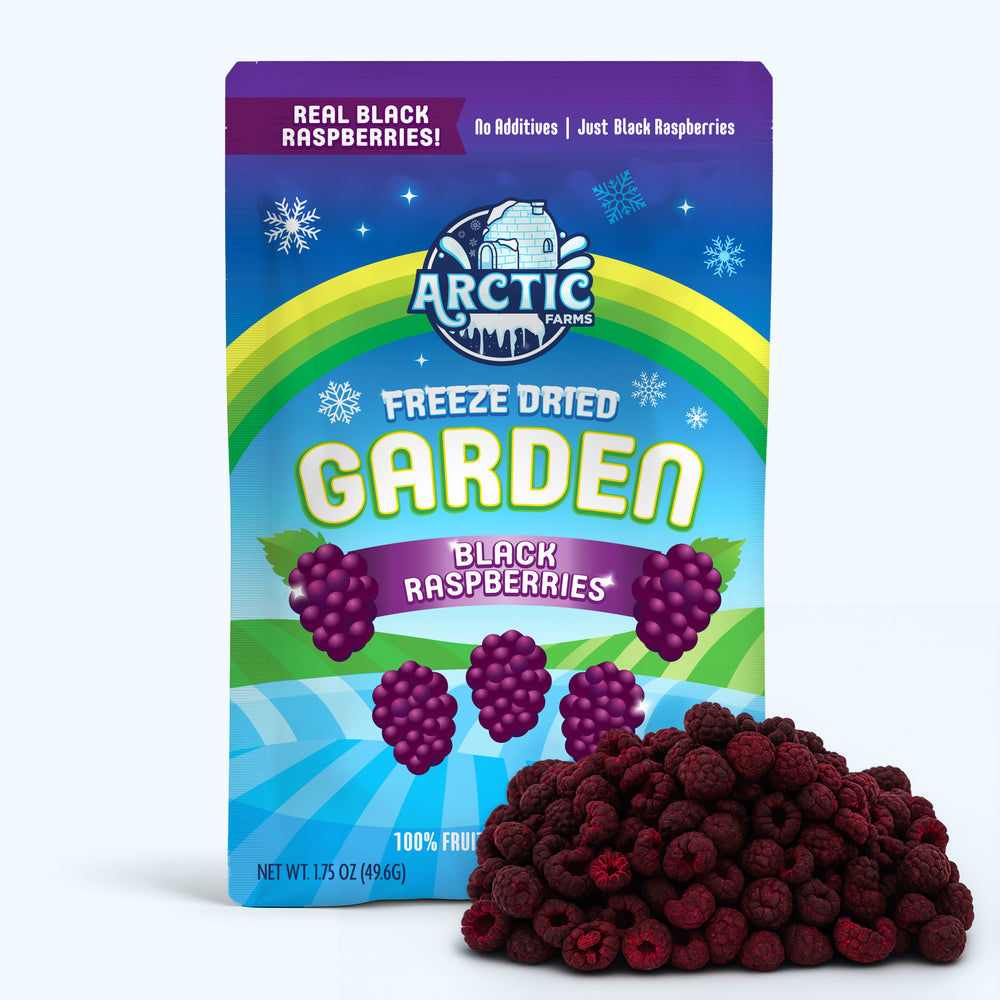 Freeze Dried Black Raspberry