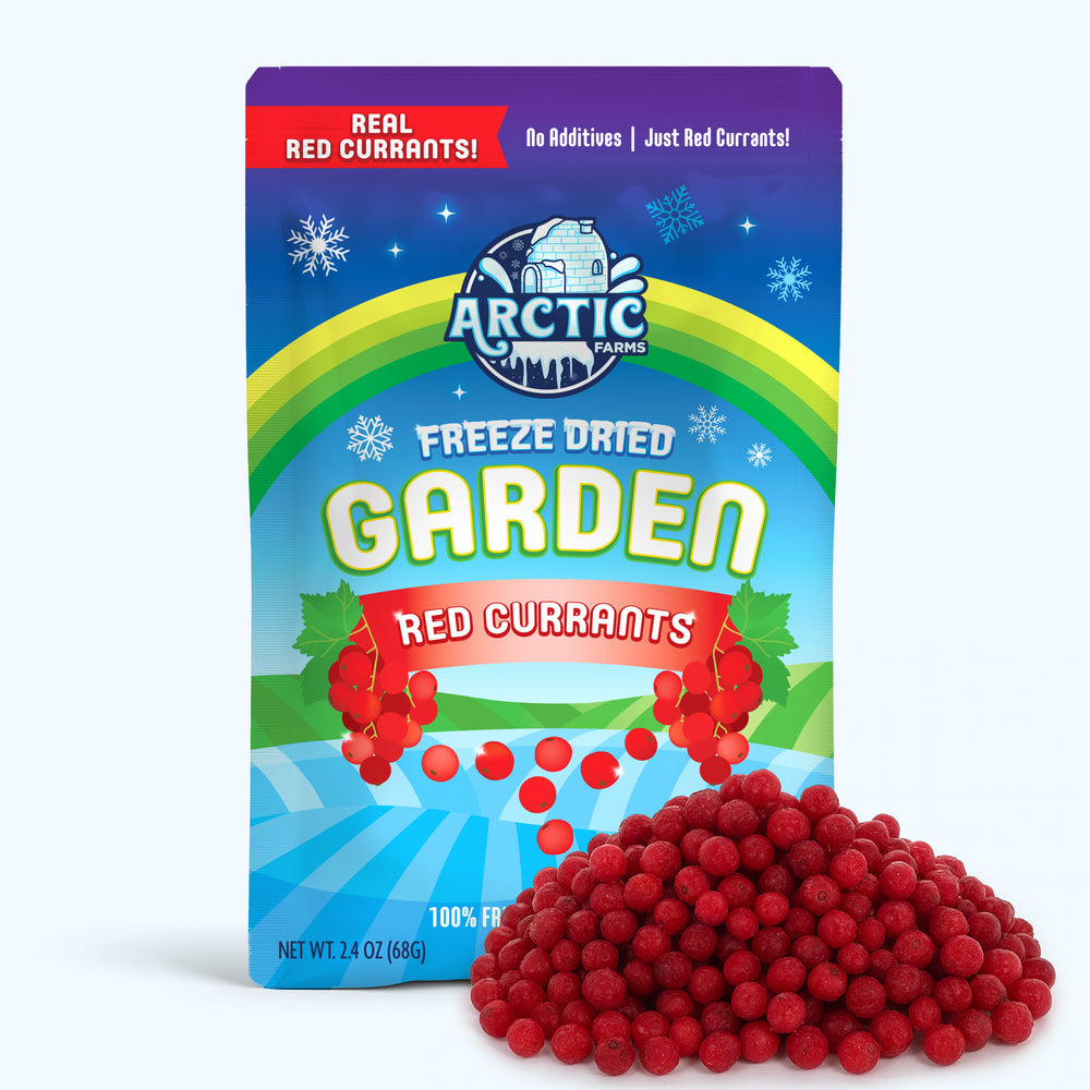 Freeze Dried Red Currant