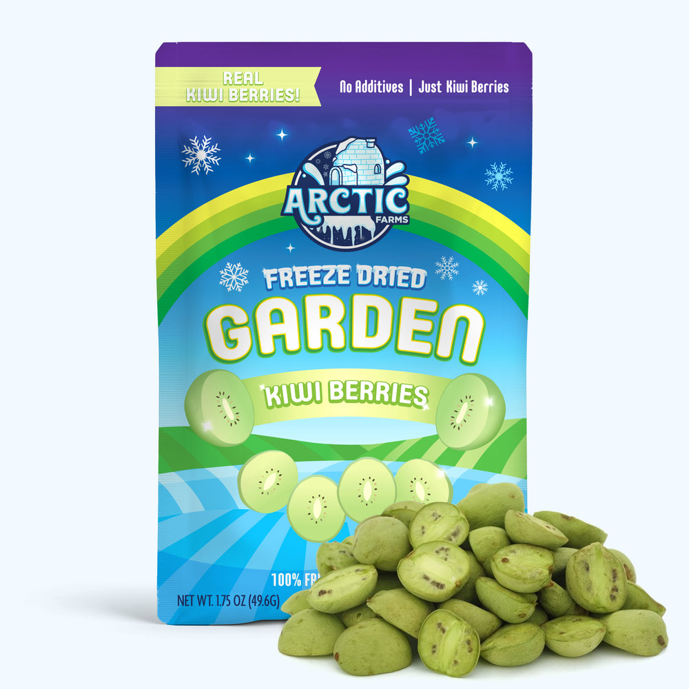 Freeze Dried Kiwi Berry (Baby Kiwi)