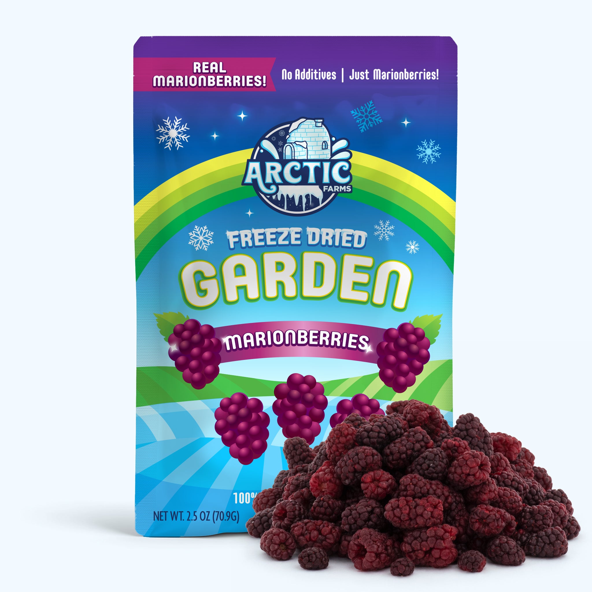 Freeze Dried Marionberries