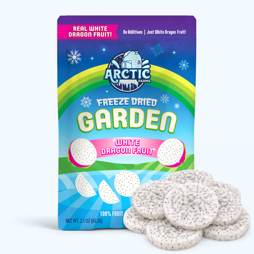 Freeze Dried White  Dragon Fruit Slices — image 1 of 10