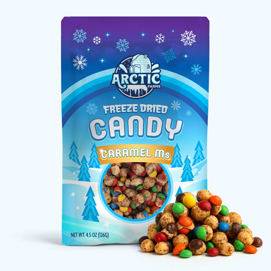 Freeze Dried Caramels Chocolate Candy