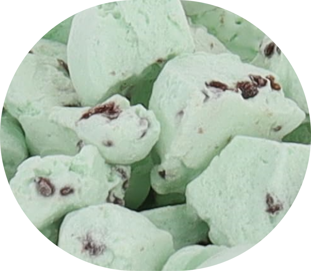 Freeze Dried Mint Chip Ice Cream