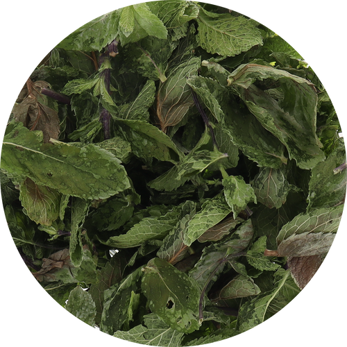 Freeze Dried Mint