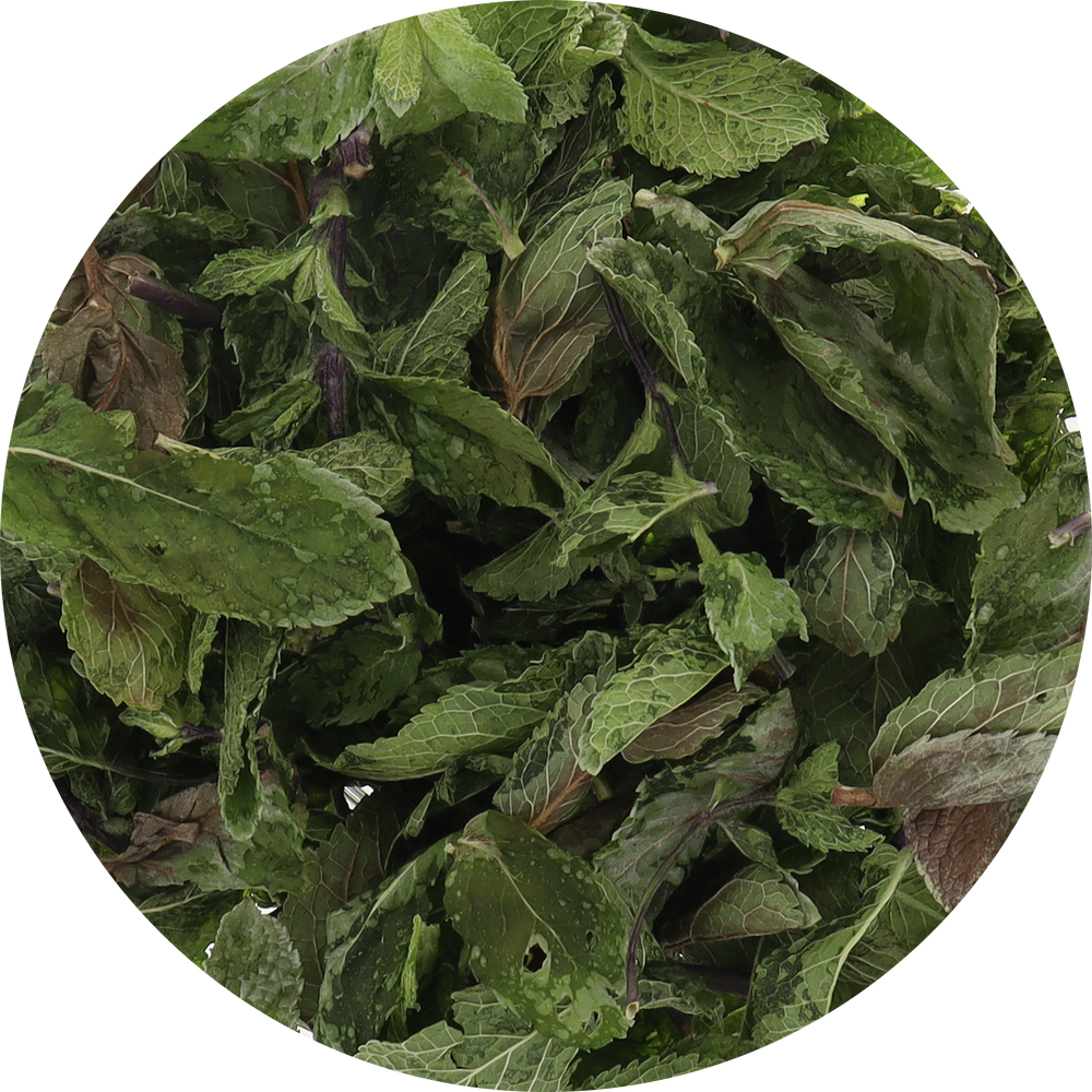 Freeze Dried Mint