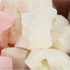 Freeze Dried Neapolitan Ice Cream