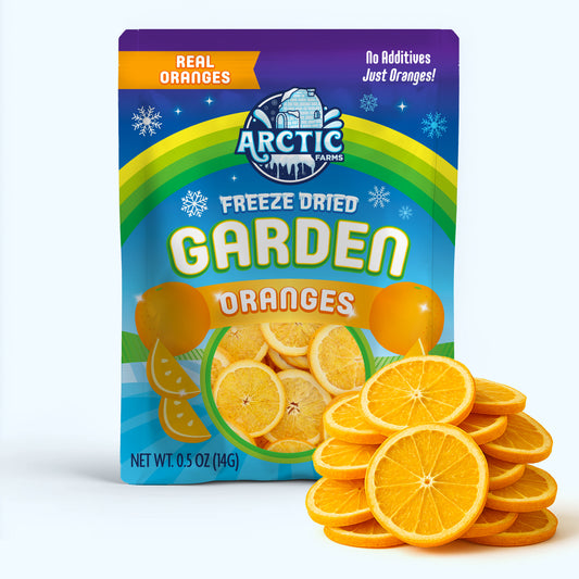 Freeze Dried Orange Slices