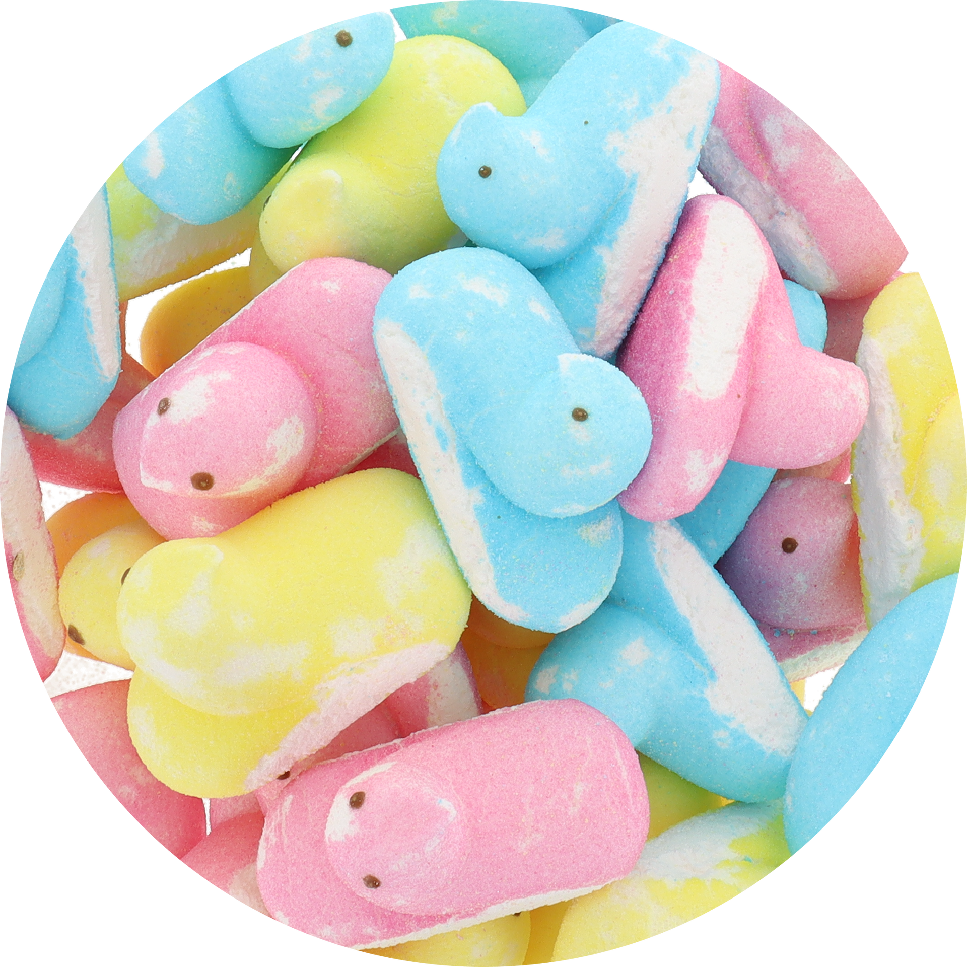 Freeze-Dried Marshmallow Chicks | Arctic Farms