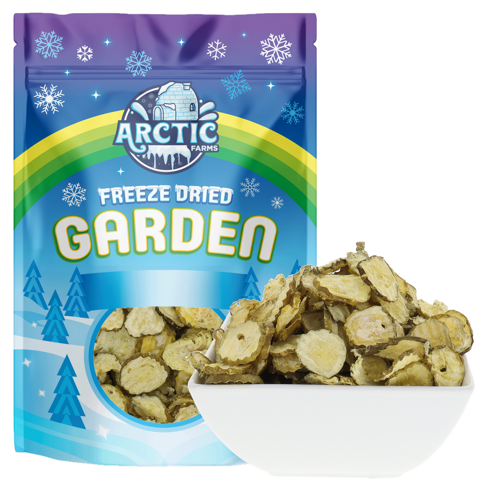 Freeze Dried Dill Pickle Chips