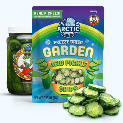 Freeze Dried New Pickle Chips from The Pickle Guys (Minimal Salt) — image 1 of 8