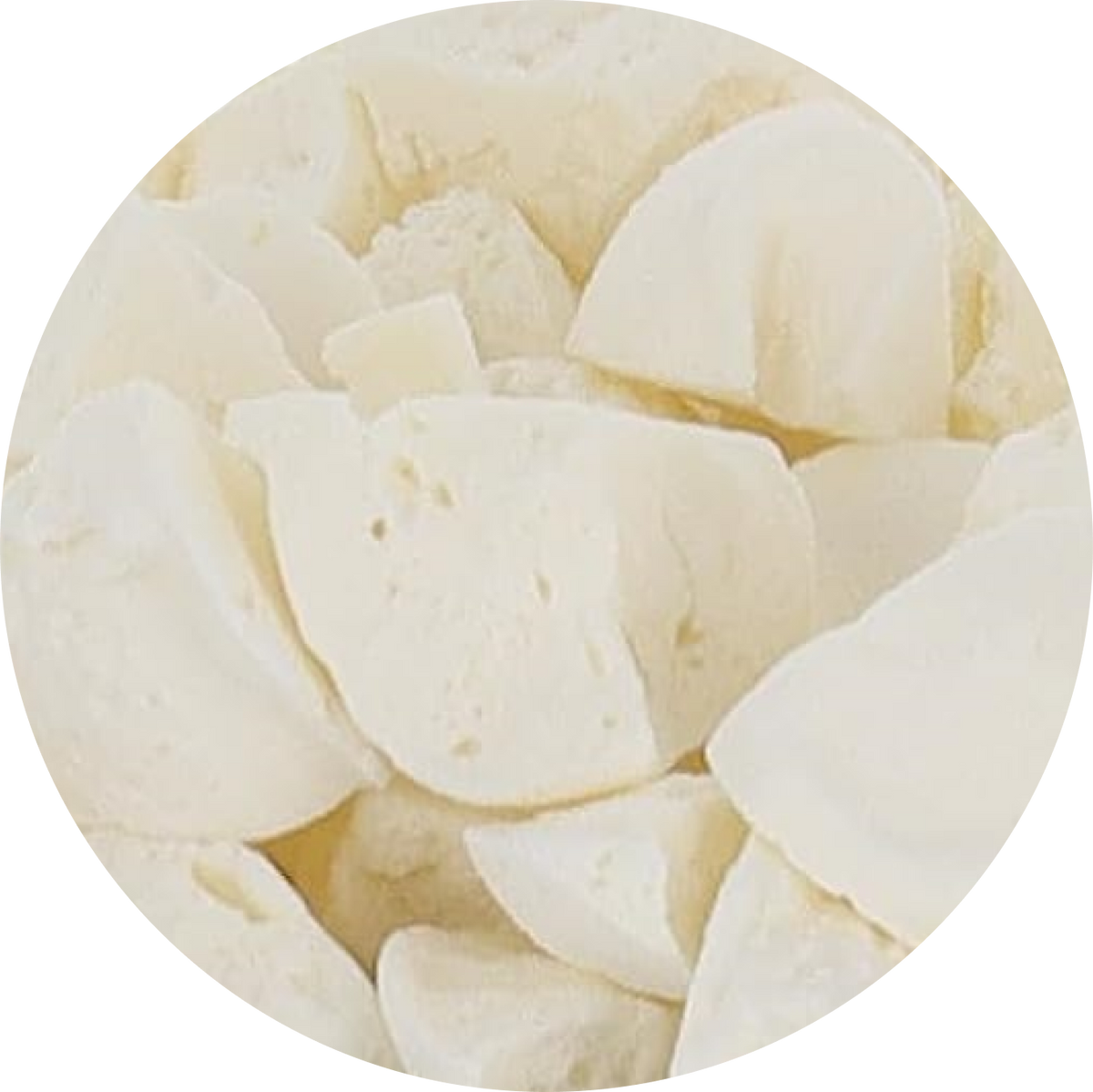 Freeze Dried Ice Cream That Does Not Melt (Bits) Pina Colada