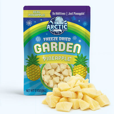 Freeze Dried Pineapple — image 1 of 11