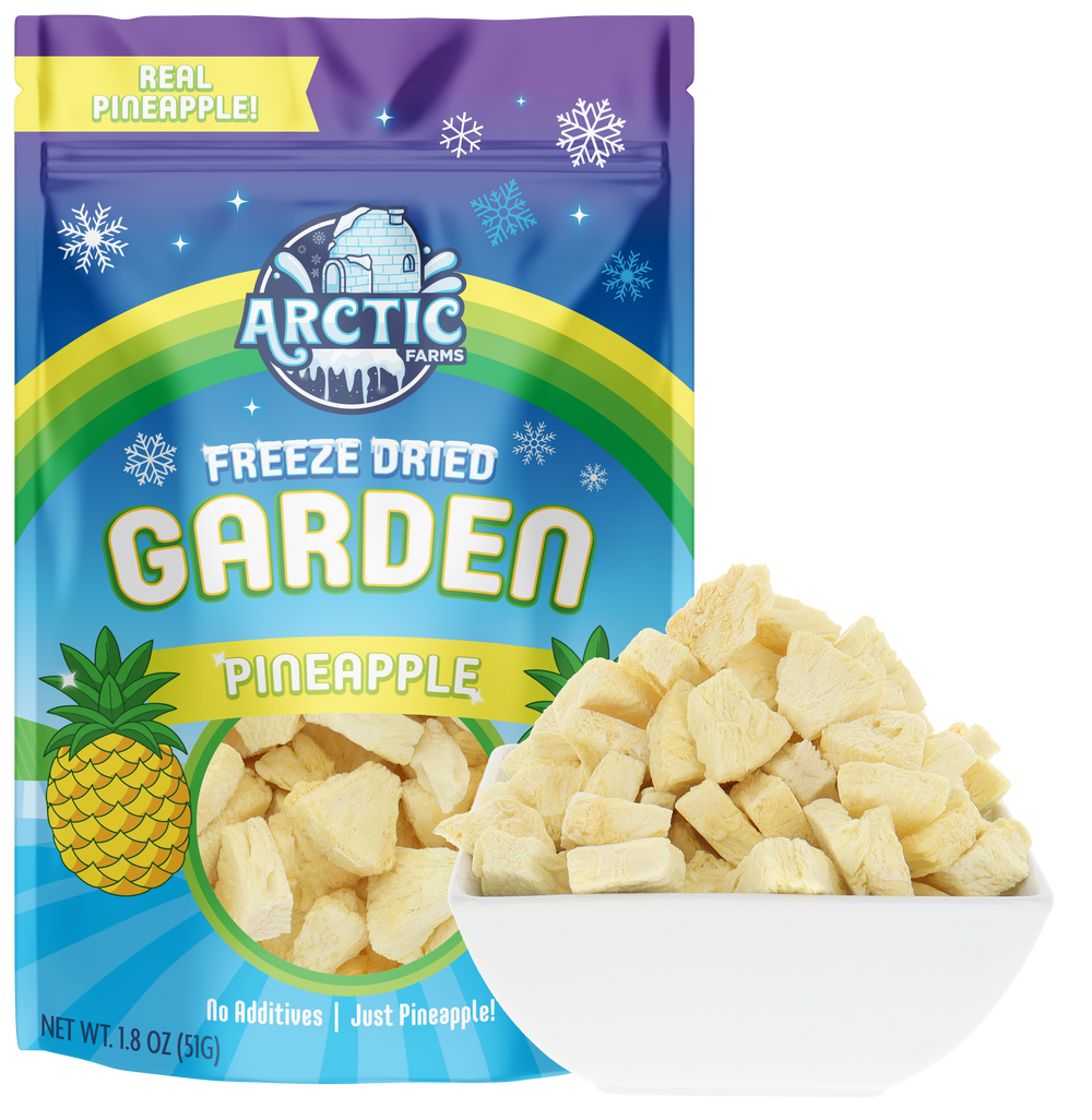 Freeze Dried Pineapple Large Bag with Bowl