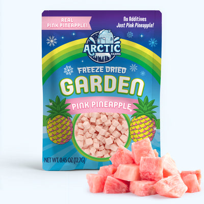 Freeze Dried Pink Pineapple — image 1 of 9