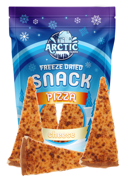 PizzaBag3Slices_grande.png?v=