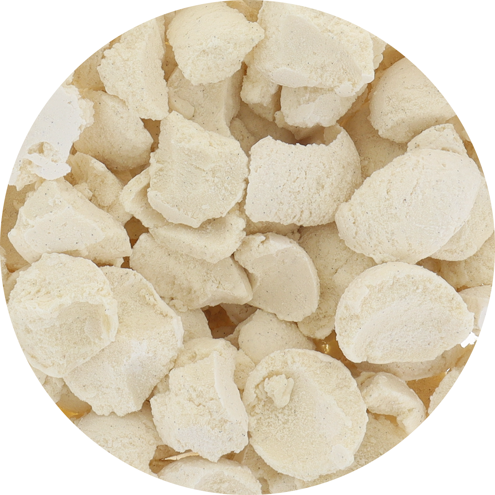 Protein Freeze‑Dried Ice Cream (Zero Added Sugar) — Vanilla