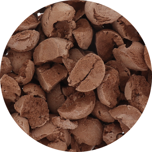 Protein Freeze‑Dried Ice Cream (Zero Added Sugar) — Chocolate