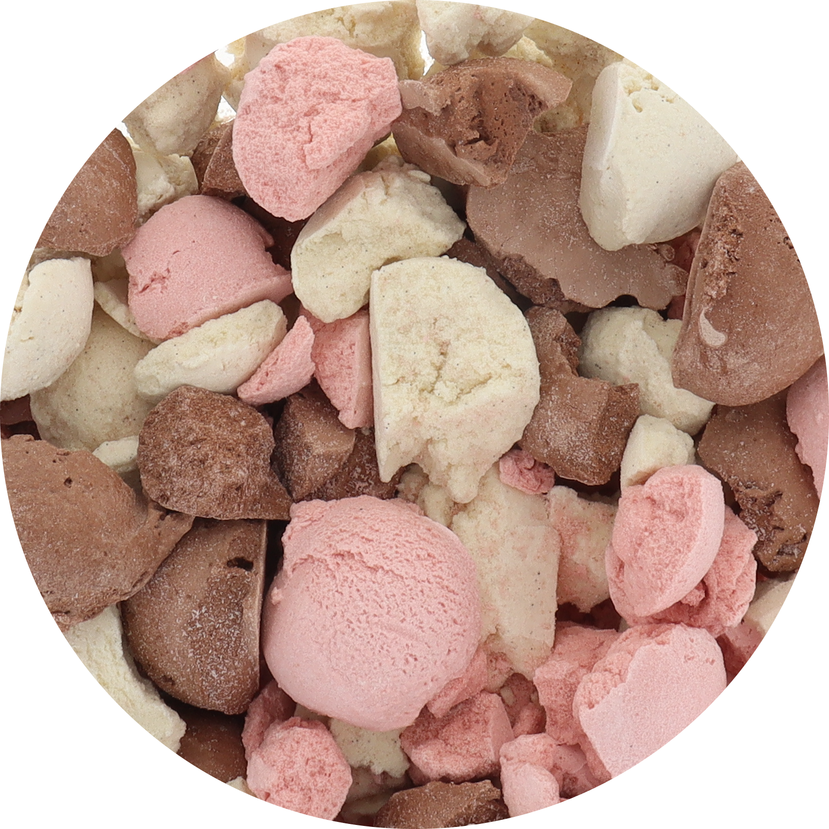Protein Freeze‑Dried Ice Cream (Zero Added Sugar) — Neapolitan