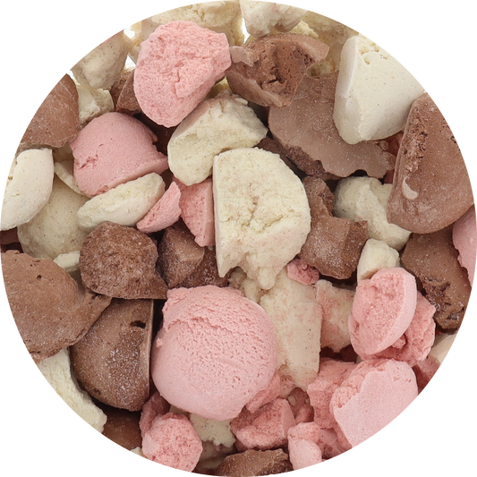 Protein Freeze‑Dried Ice Cream (Zero Added Sugar) — Neapolitan