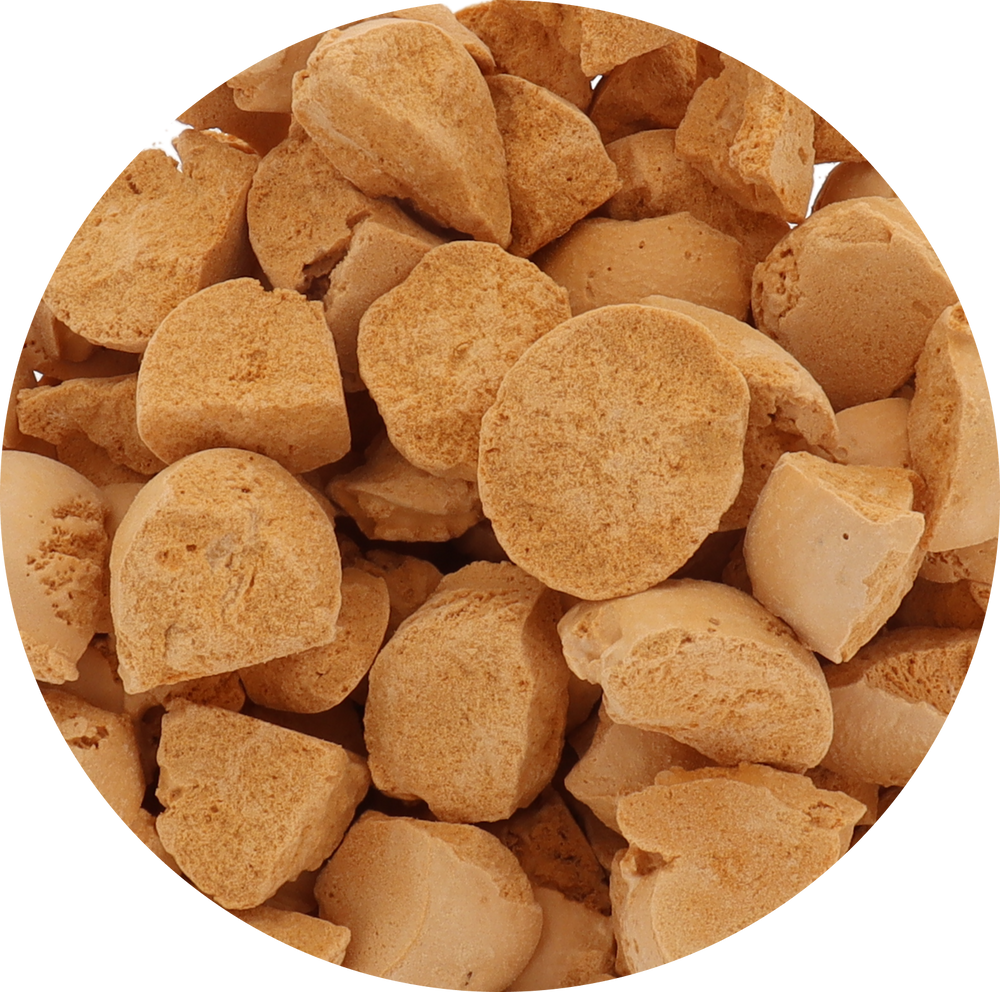 Freeze Dried Pumpkin Pie Ice Cream