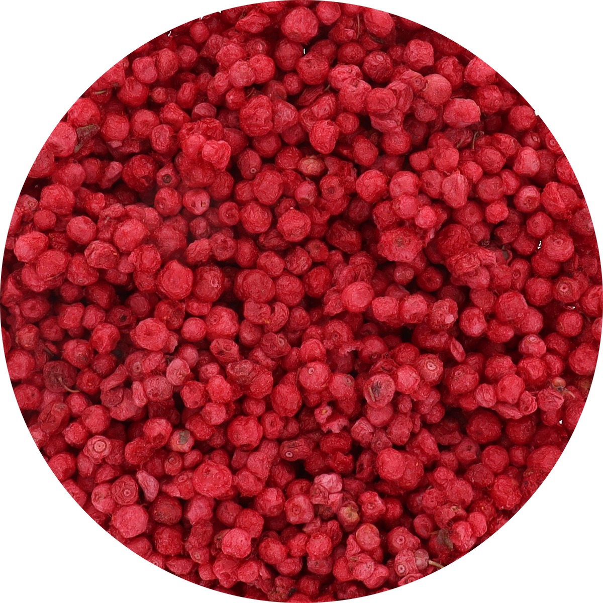 Freeze Dried Wild Red Huckleberries