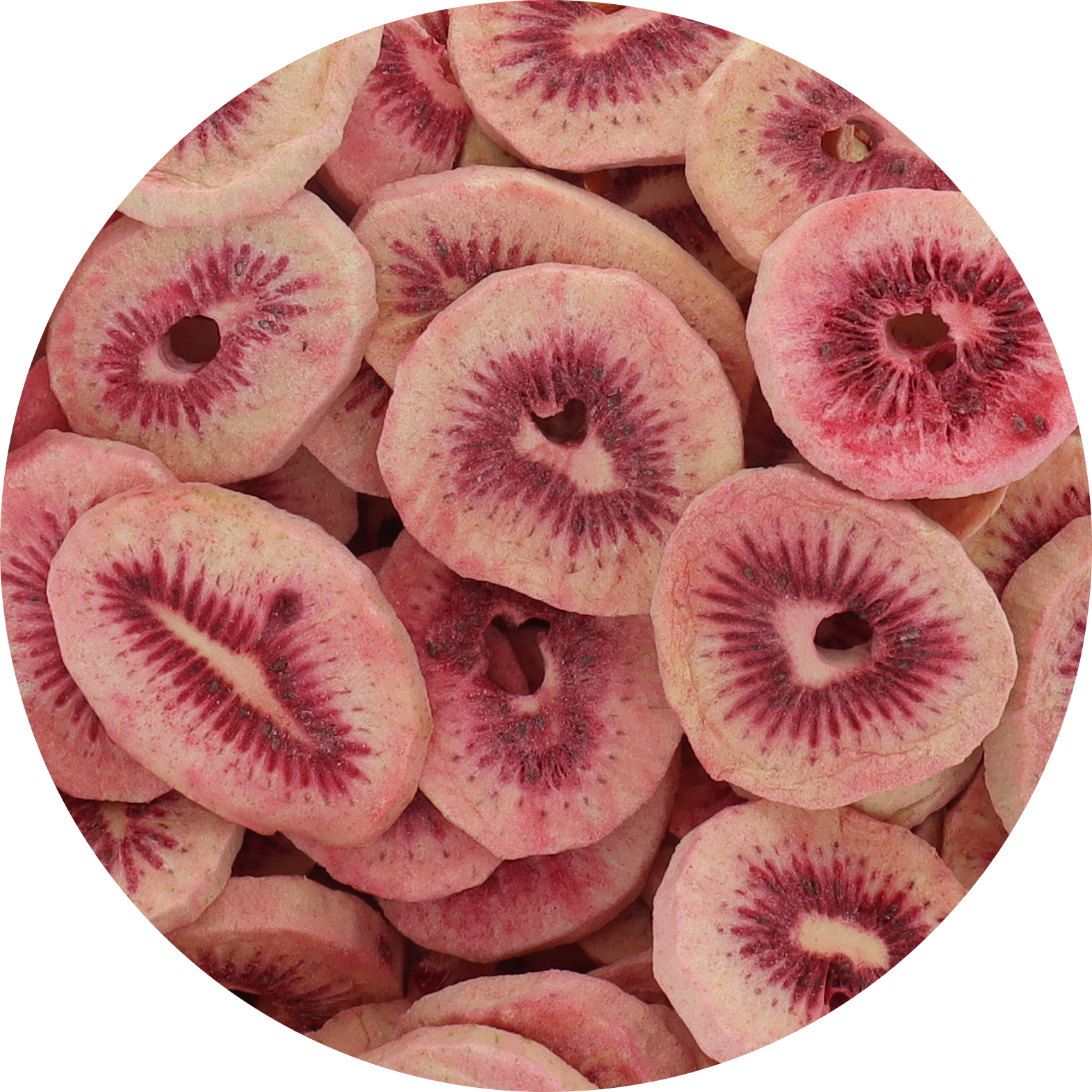 Freeze Dried Red Kiwi