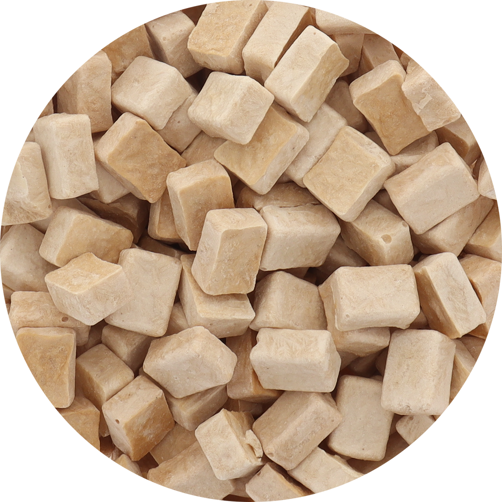 Freeze Dried Cacao Fruit Pulp