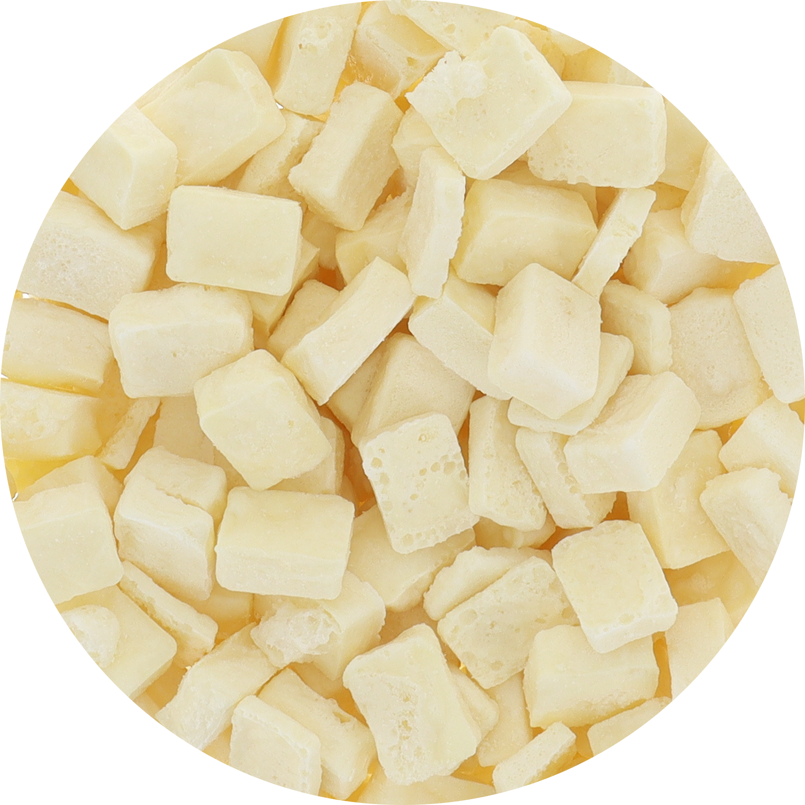 Freeze Dried Premium Belgian White Chocolate
