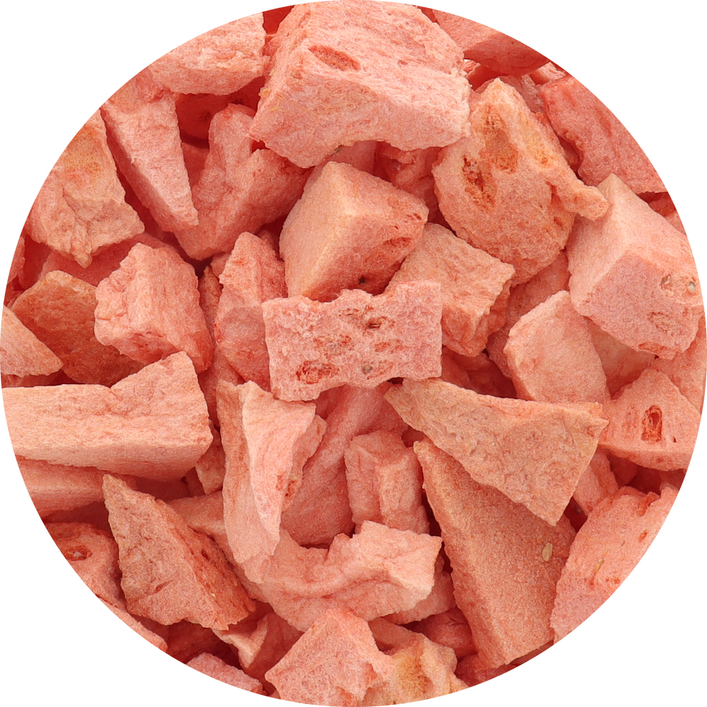 Freeze Dried Watermelon Top View