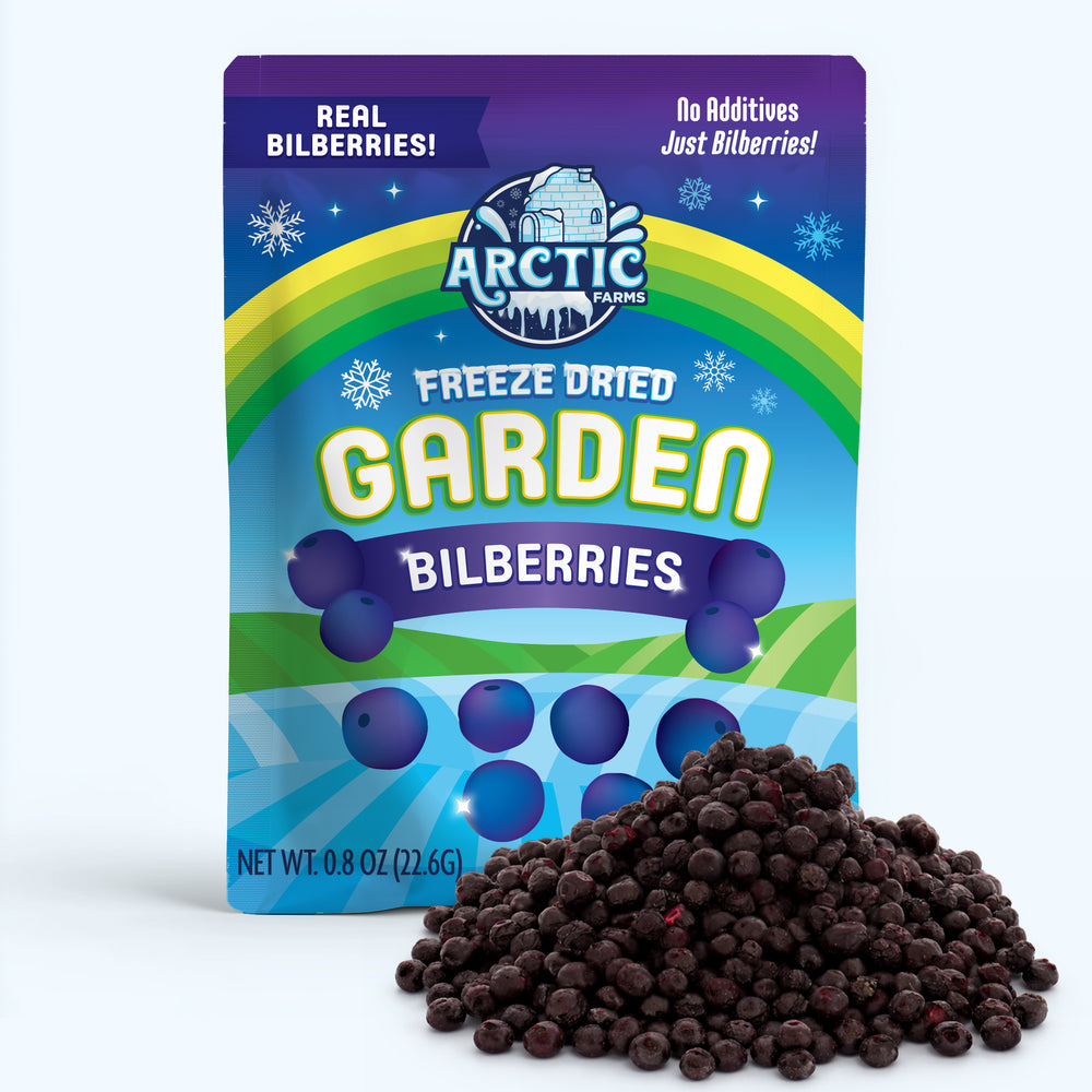 Freeze Dried Wild Bilberries — image 1 of 10