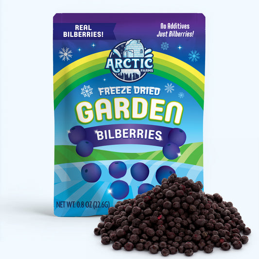 Freeze Dried Wild Bilberries — image 1 of 10